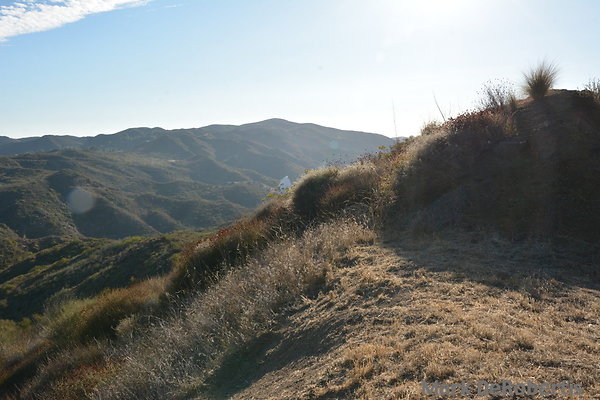 MDR 9452 - 35mm MDR 9452 - 35mm