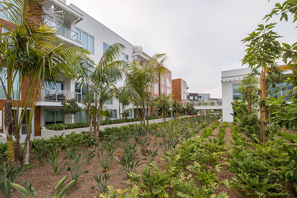 ReelEstatePartners   mfa03-huntington-32