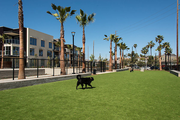 ReelEstatePartners   mfa03-huntington-03