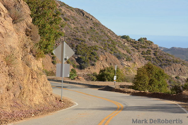 MDR 9431 - Little Sycamore