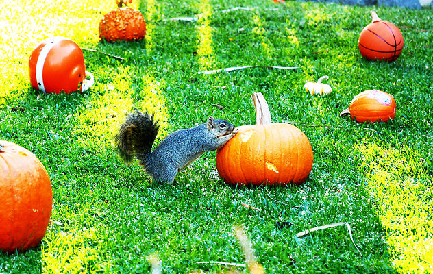 2025  034A 2025  034A