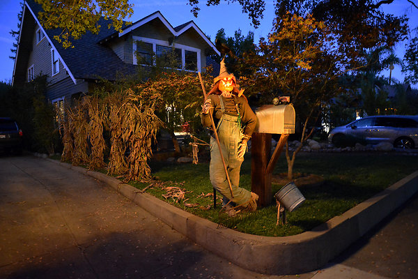 2025  007A 2025  007A