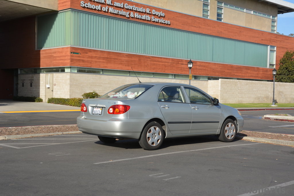 03 School Of Nursing