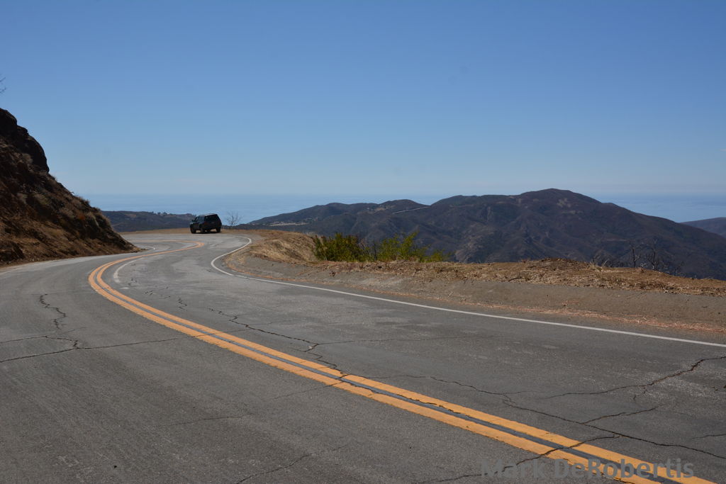 03 Little Sycamore 0.30