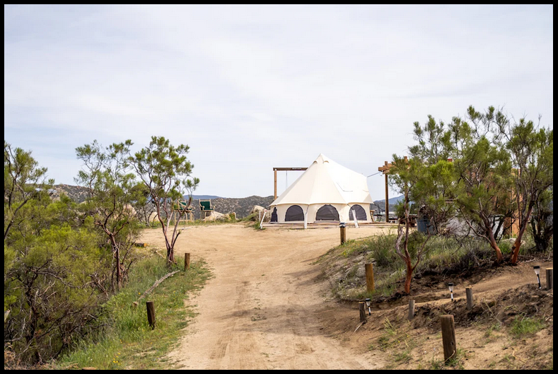 04 San Diego Olive Rock Ranch Aguanda