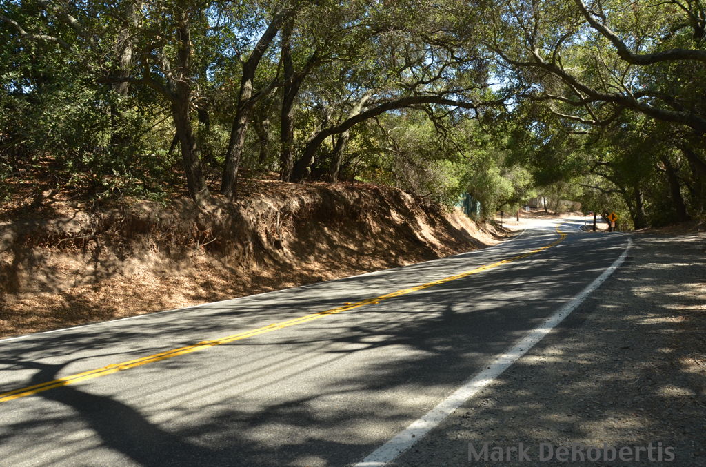 02 Live Oak 1 2 To 1 7