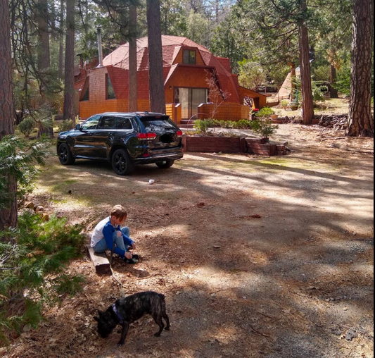 02 Idyllwild Sunny Forest Idyllwild