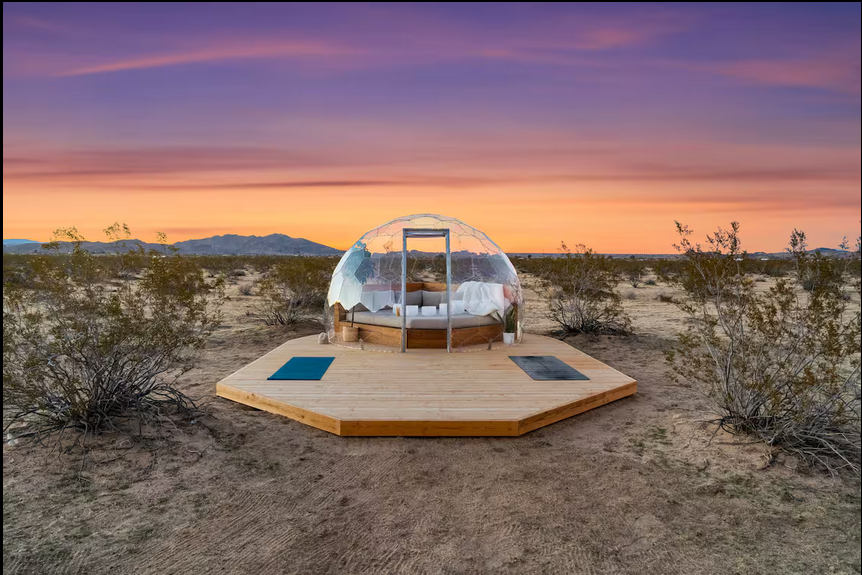 02 Art Of The Desert Joshua Tree