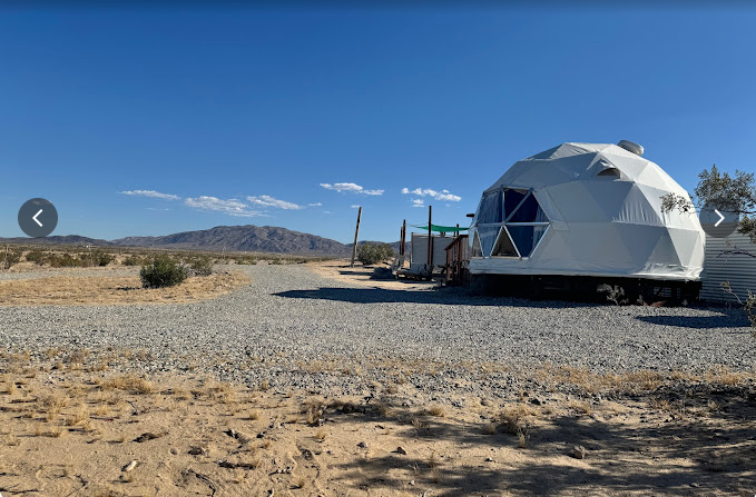 06 The Kosmic Tortoise