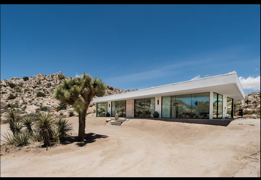 54 All Glass Joshua Tree