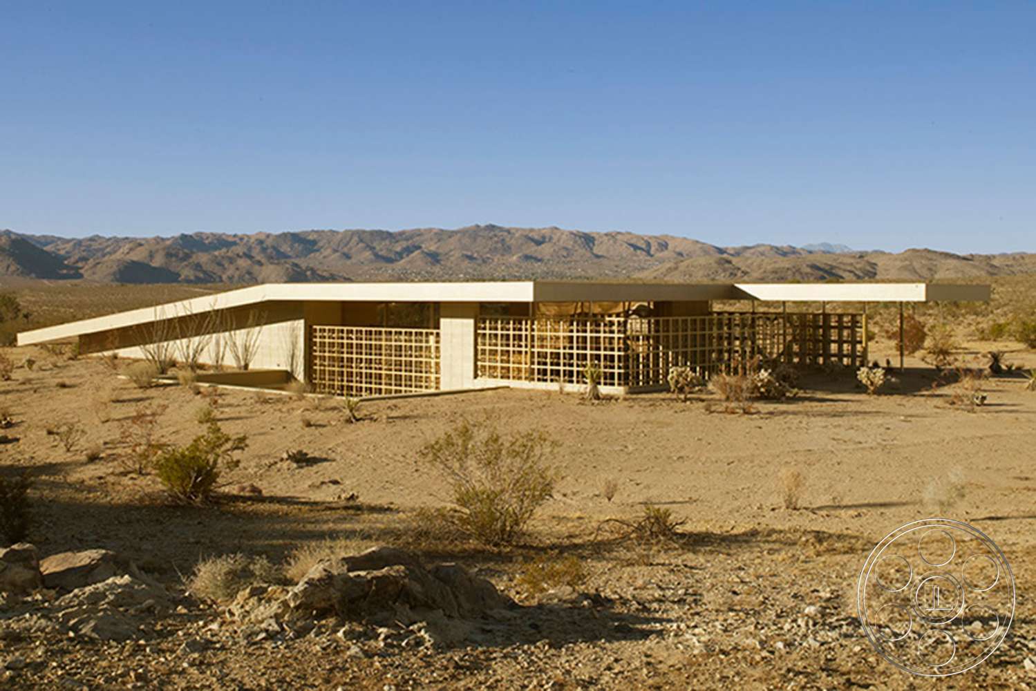 58 Image Joshua Tree 1