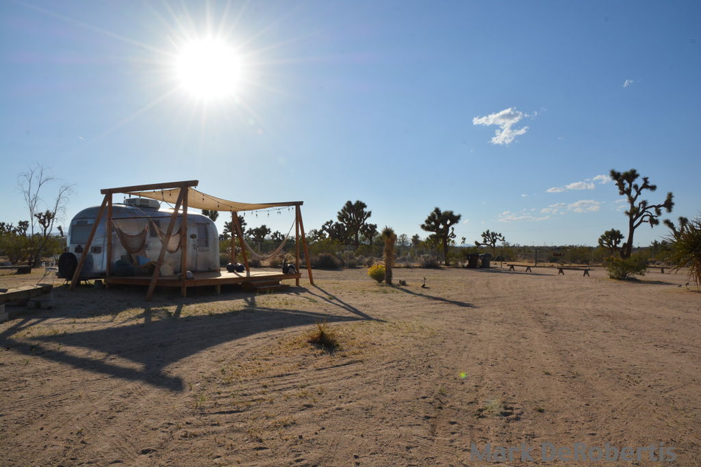 65 Joshua Tree Acres 5-2018