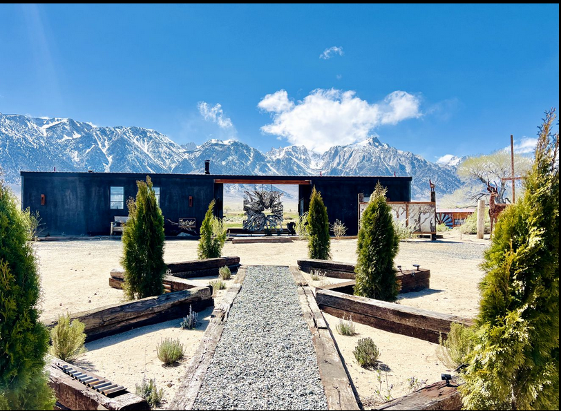 89 NEW Designer Lone Pine