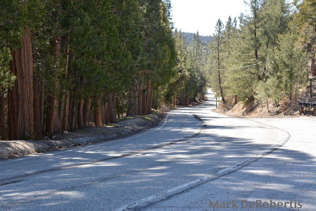 08 Angeles Crest 50.45 Newcombs Ranch