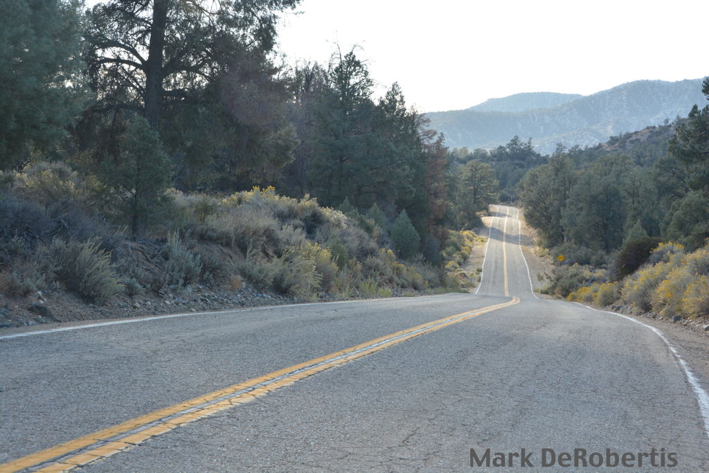 01 Lockwood Valley Mile 10