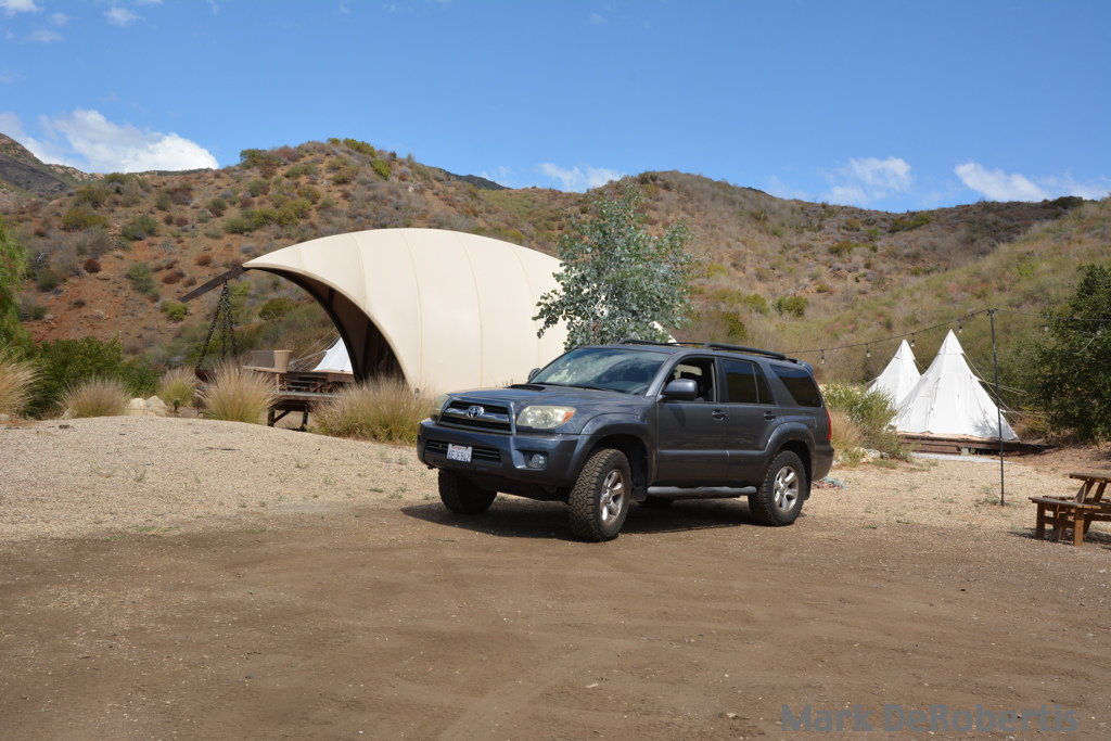 01 Wild Malibu 01 Wild Malibu