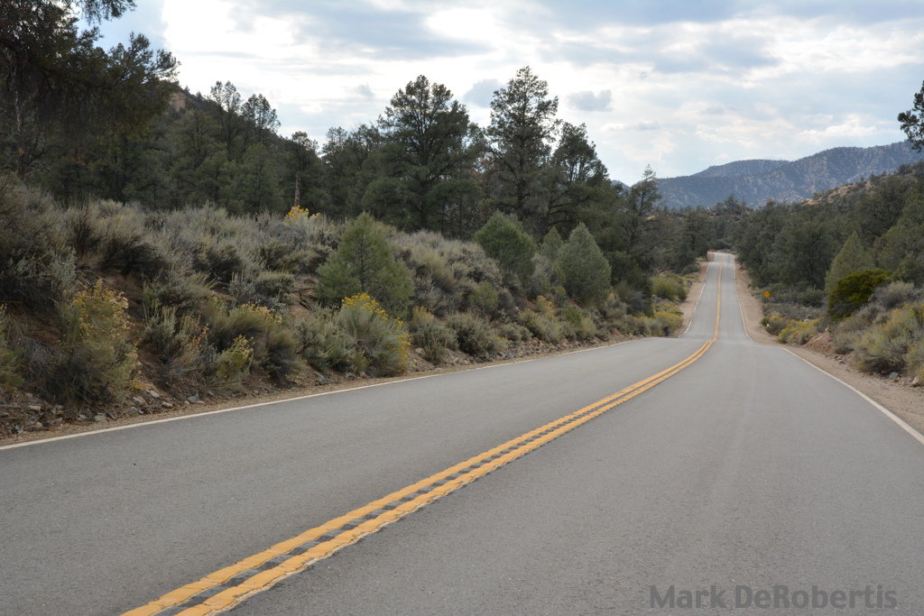 05 Lockwood Valley 13.50