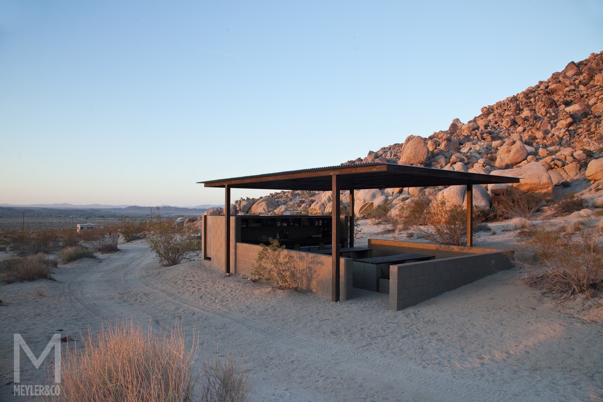 47 Meyler 3682 Joshua Tree